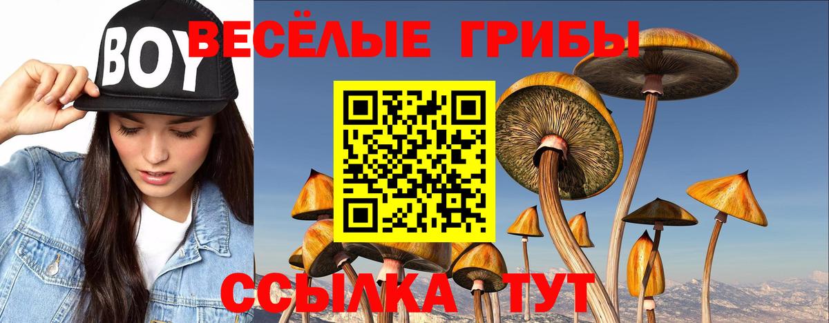 Абинск  Галлюциногенные грибы ЛСД  Галлюциногенные грибы Psilocybine cubensis  магазин  наркотиков  Вход с VPN 